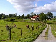 Rollstuhl Ferienwohnung Rgen behindertengerecht Ostsee Rgen