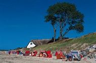 Zur vergrösserten Ansicht Rollstuhl Ferienwohnung Ostsee behindertengerecht Ostsee barrierefrei