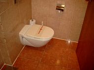 Standardzimmer -WC ohne Haltegriff Rollstuhlgerechtes Hotel Mallorca behindertengerecht Playa de Palma