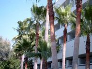 Rollstuhlgerechtes Hotel Mallorca behindertengerecht Playa de Palma