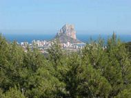 Rollstuhlgerechte Ferienwohnung barrierefrei Spanien behindertengerecht Appartement Costa Blanca Rollstuhl Urlaub